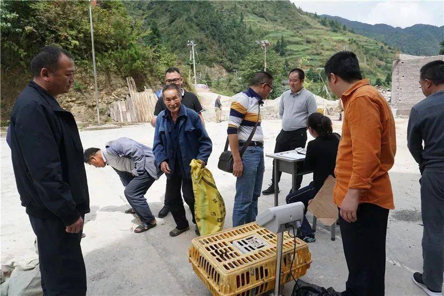 隆陽區(qū)扶貧辦最新新聞，持續(xù)推進脫貧攻堅，助力鄉(xiāng)村振興