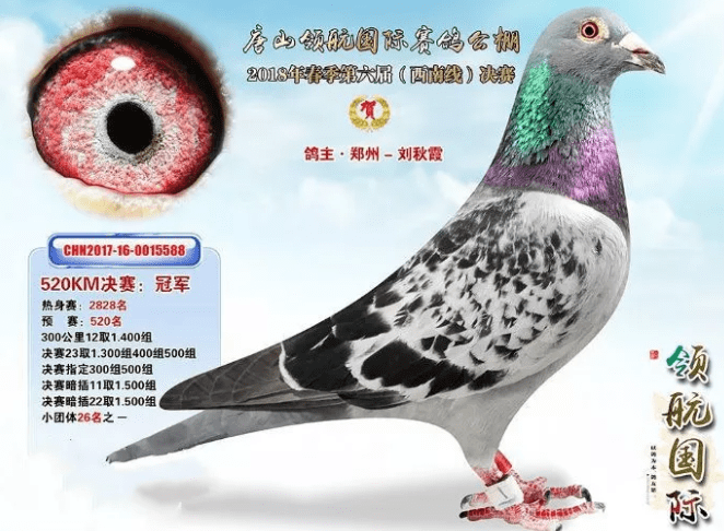 和平公棚春棚最新公告，推動農(nóng)業(yè)可持續(xù)發(fā)展與生態(tài)和諧共融