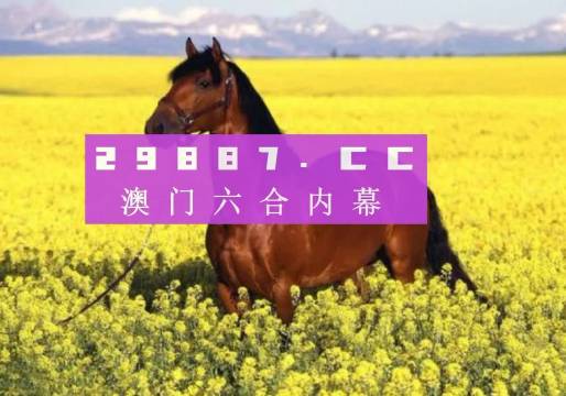 新粵門六舍彩資料免費(fèi)，探索與解析