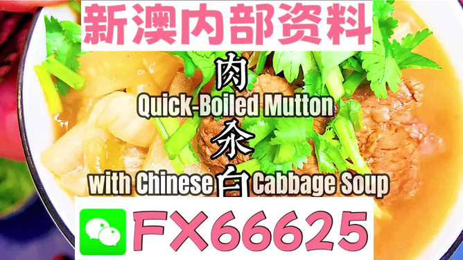 管家婆一碼一肖一種大全，揭秘神秘預(yù)測背后的故事