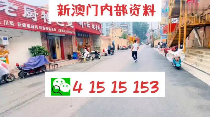 新2024年澳門天天開好彩，探索彩票文化的新紀(jì)元