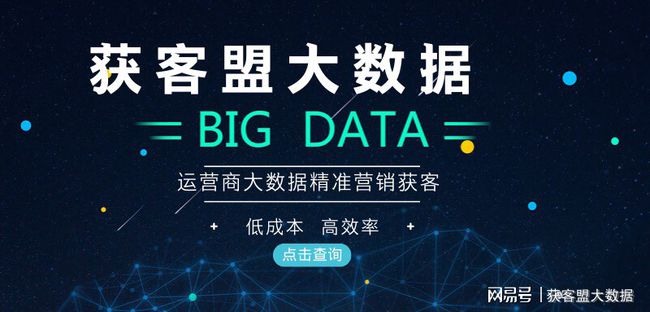 新奧天天精準資料大全，探索與解析