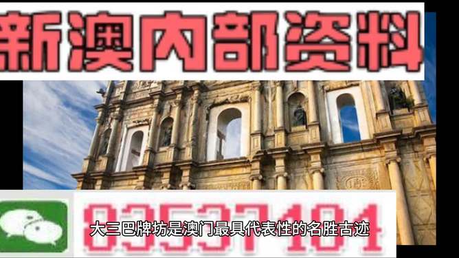 新澳2024最新資料解析與探索，揭秘二十四碼的魅力