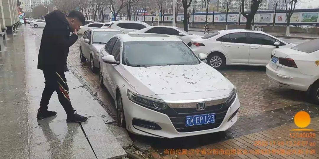 遼陽車牌最新號段，解讀與影響分析