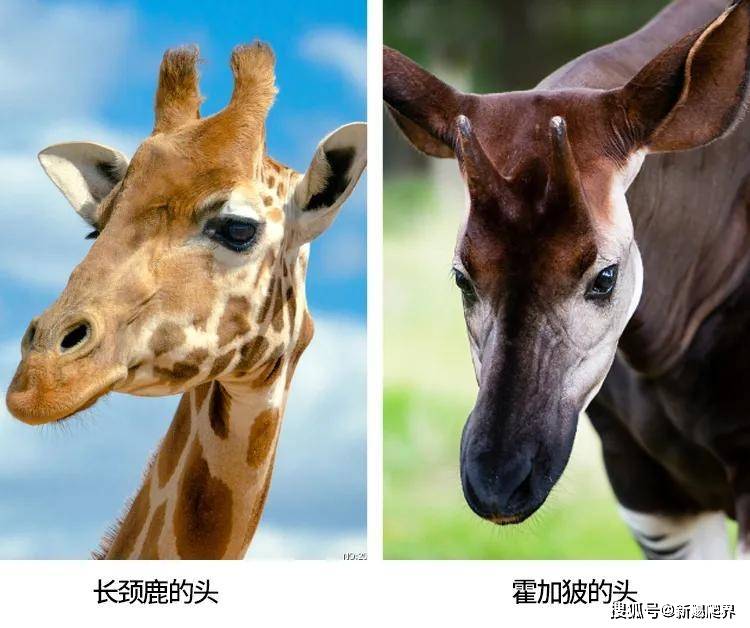 2024年11月 第5頁(yè)