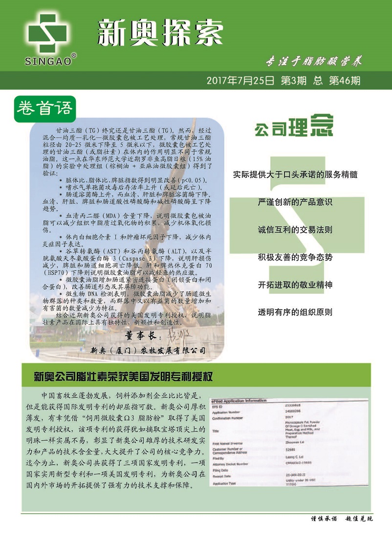 新澳2024大全正版免費(fèi)資料，探索與解析