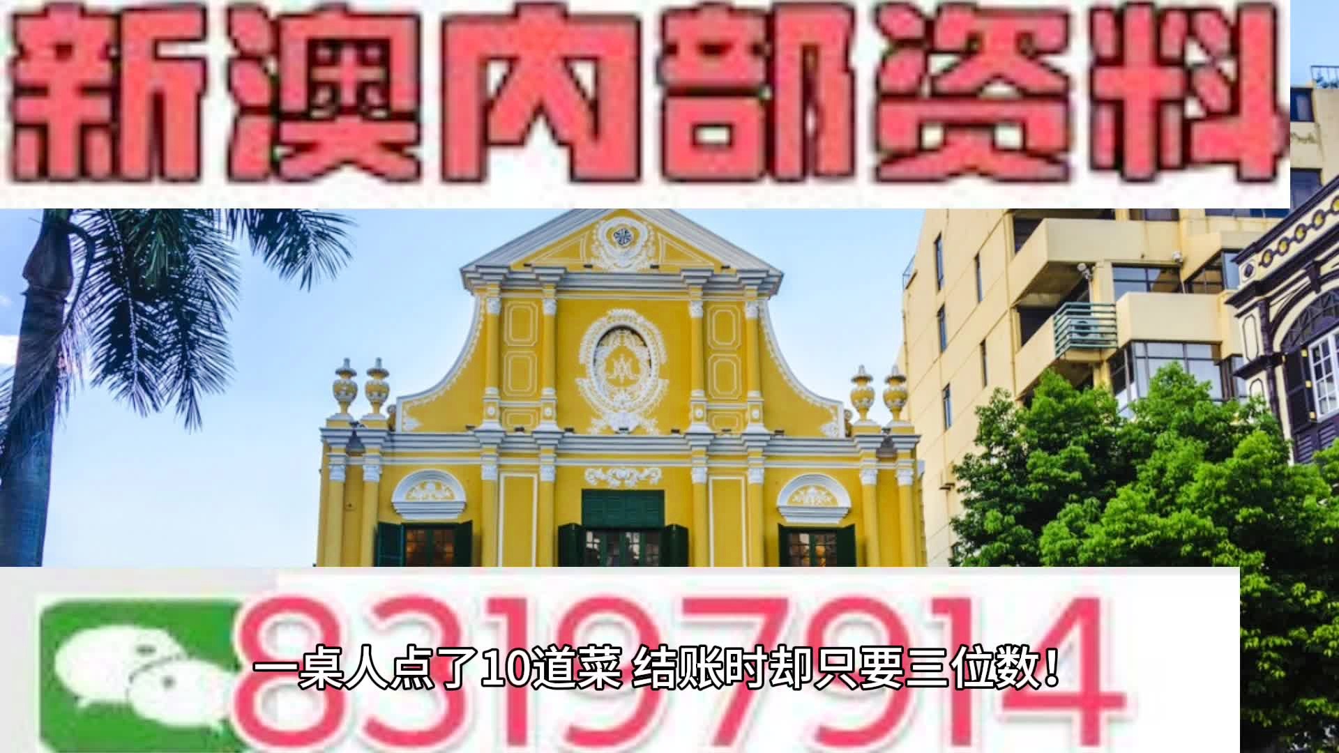 新澳門免費全年資料查詢，探索與解讀