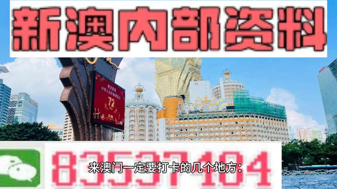 新澳門最準資料免費長期公開，探索真實與公開的奧秘