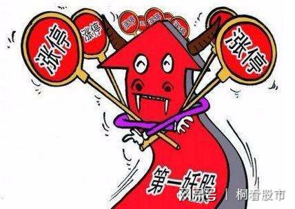 一碼一肖，揭秘生肖預測背后的真相與風險