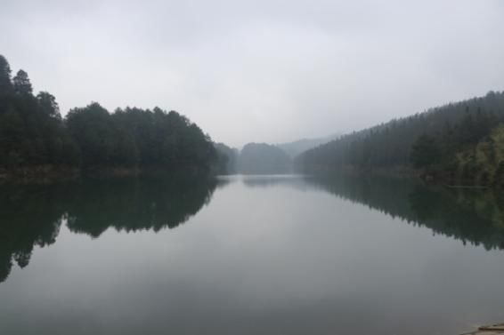 綦江藻渡河水庫最新進(jìn)展，建設(shè)進(jìn)展順利，助力地方經(jīng)濟(jì)發(fā)展